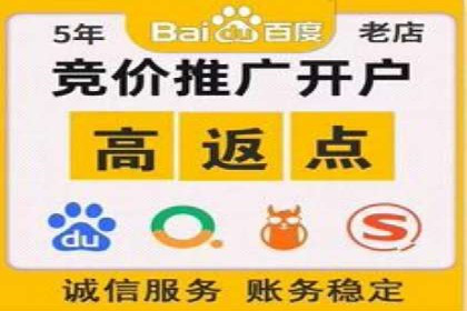 百度SEO推广策略全解析：某企业从零到一的成长历程